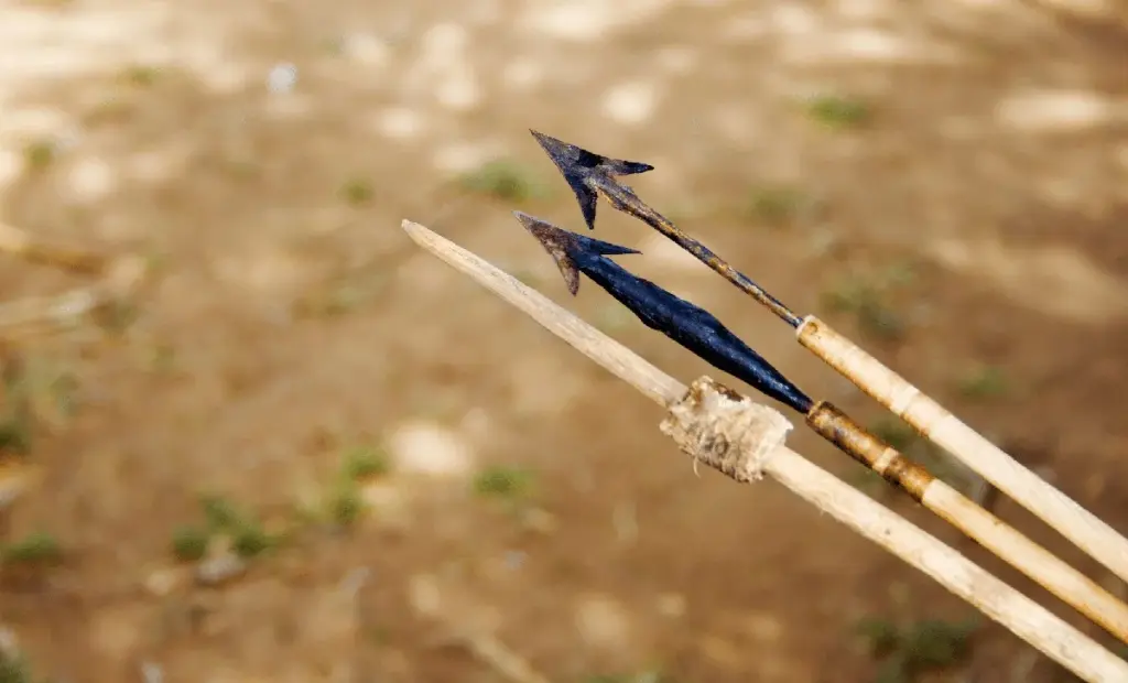 Proč staří afričtí lovci používali k lovu rostlinný jed: Objev, který mění dějiny o 60 000 let