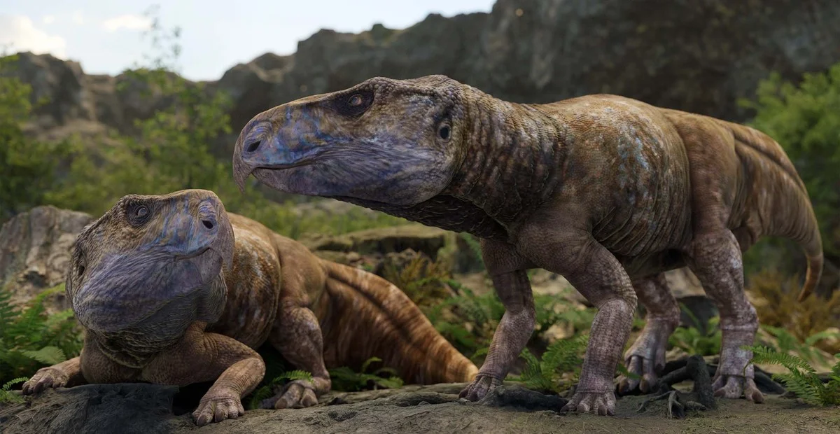 Proč vědci desítky let přehlíželi rohaté dinosaury v Česku a Evropě - image 2