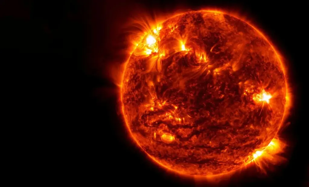 Proč vědci instalují houbu na dno hrnce