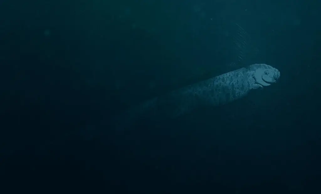 Rybář objevil legendární „krále lososů" těsně u kalifornského pobřeží: Znamená to zemětřesení?