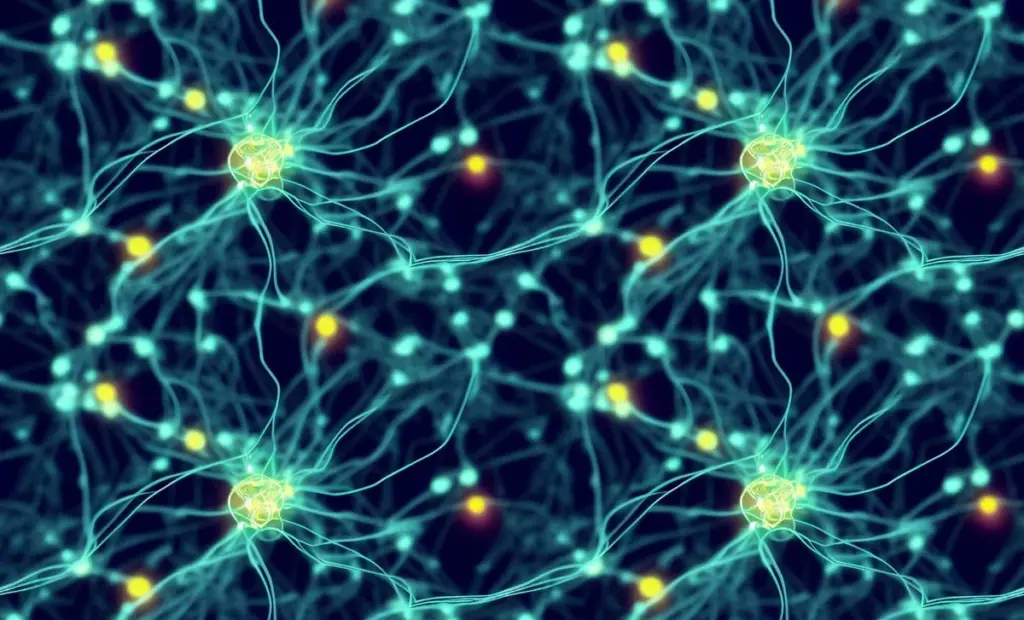 Skrytá dálnice v mozku: Proč vědci najednou vidí síť, na které závisí paměť