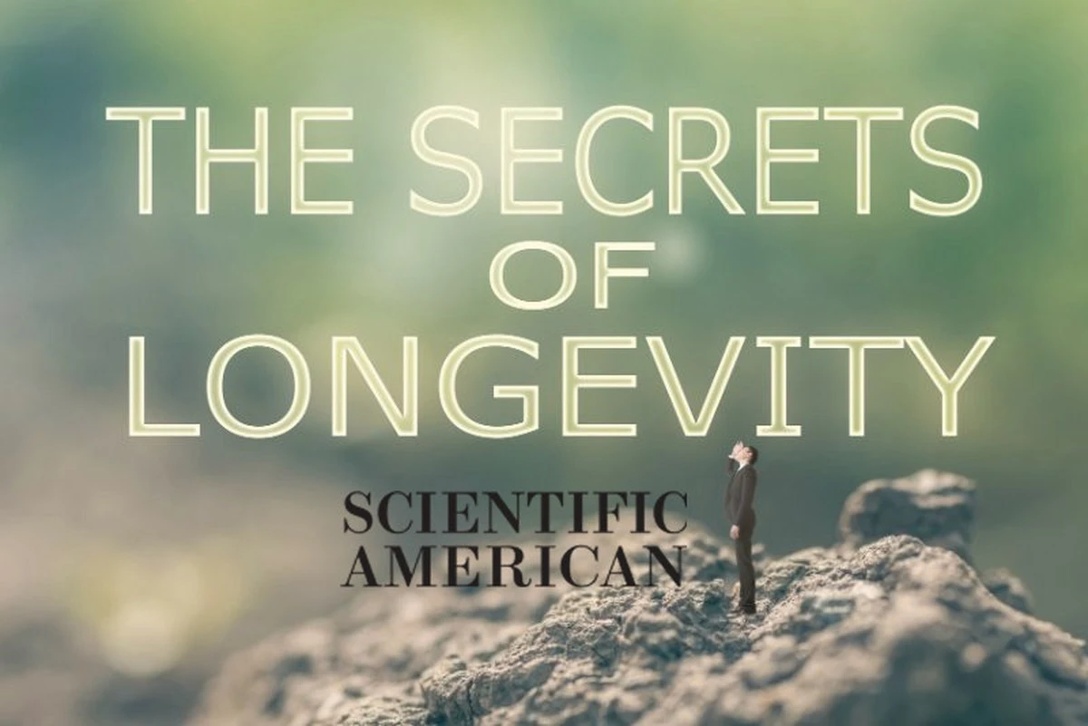 Světový rekordman:Brazilský muž slaví 113 let a odhaluje svůj jednoduchý recept na dlouhověkost - image 2