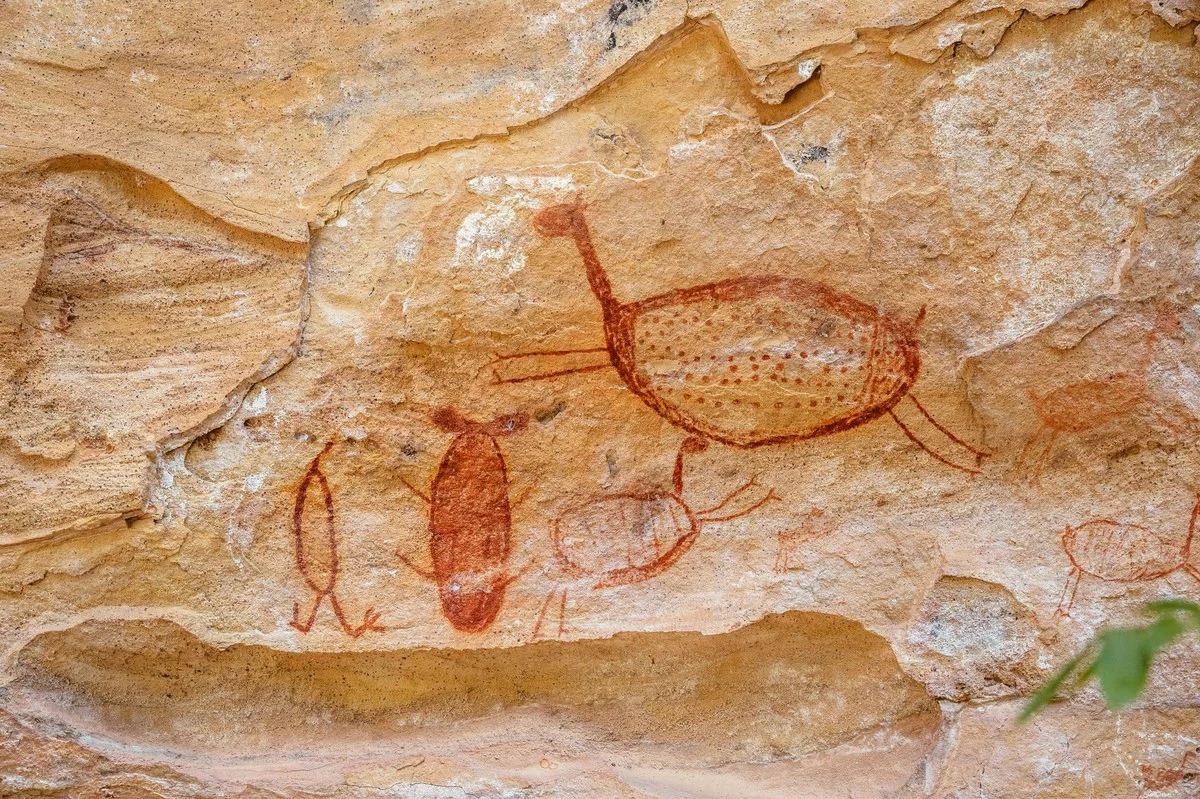 Tajemství 5000 let starých brazilských harpun: Víme, proč lovili velryby dříve než Vikingové - image 2