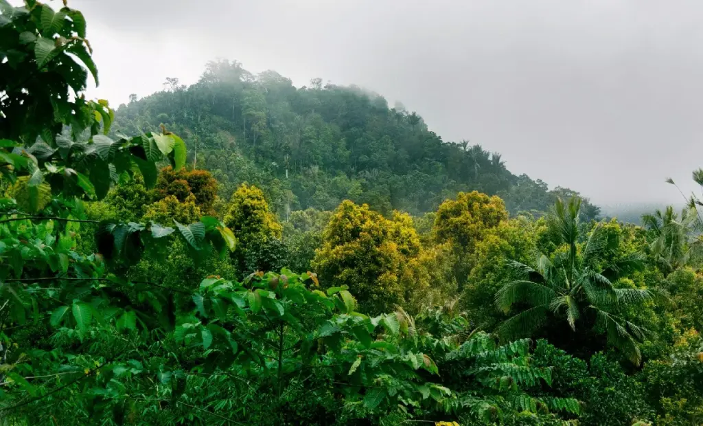 Tajemství Bolívie: Vědci našli ptáka, který 60 let skrýval vlastní identitu