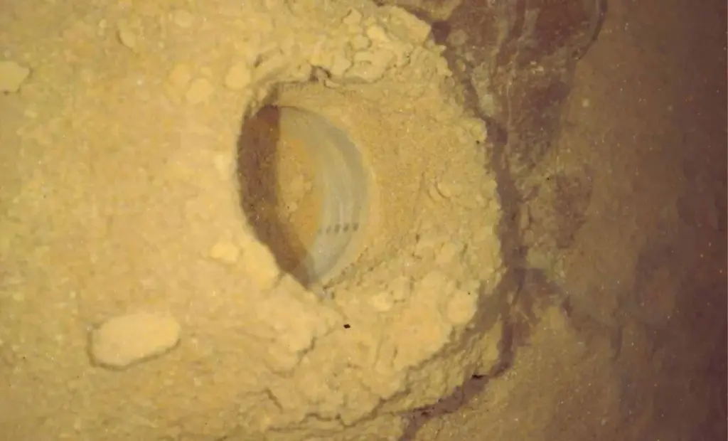 Tři nečekané nálezy roveru Curiosity, které po 10 letech misí mění pohled na Mars