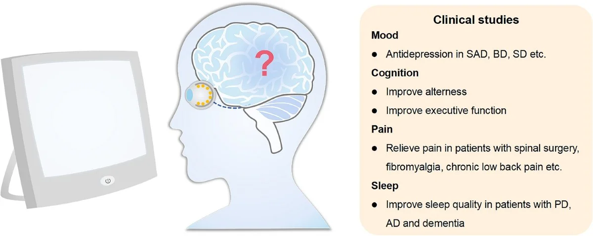 Vědci konečně objevili „Mazání vzpomínek“: Jak terapie světlem mění traumatickou minulost - image 2