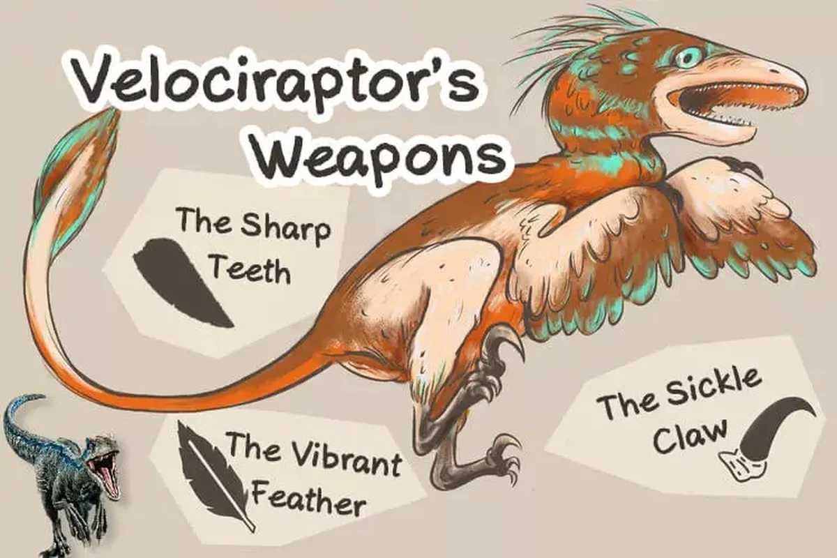 Vědci objevili manipulátora z Gobi: Jak malý dinosaurus s drápem-pákovým mechanismem kradl vejce - image 1