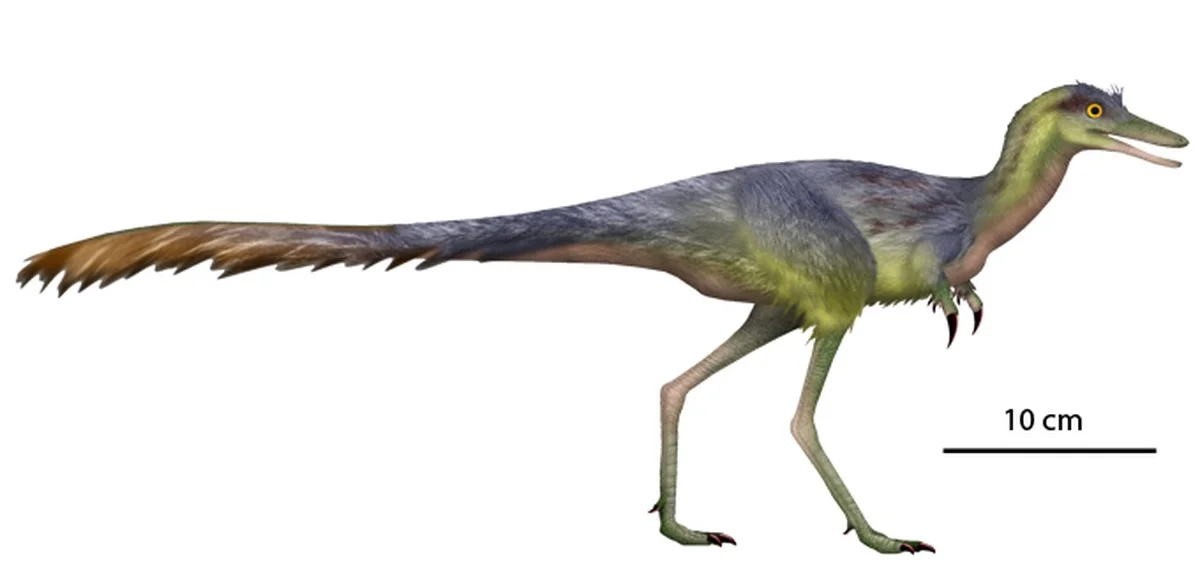 Vědci objevili manipulátora z Gobi: Jak malý dinosaurus s drápem-pákovým mechanismem kradl vejce - image 2