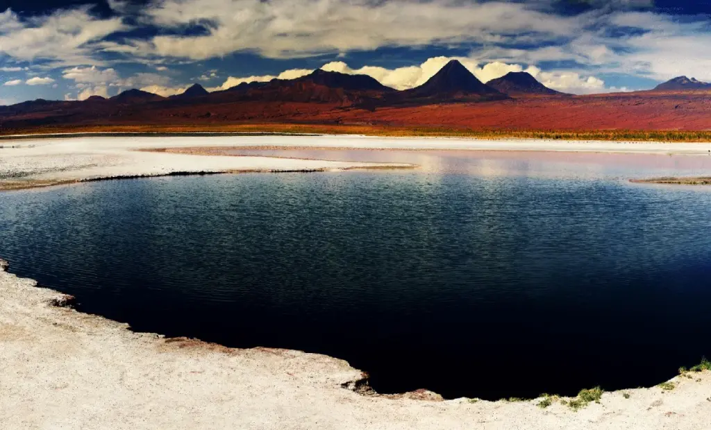 Vědci objevili skrytý svět plný života v nejsušší poušti Země