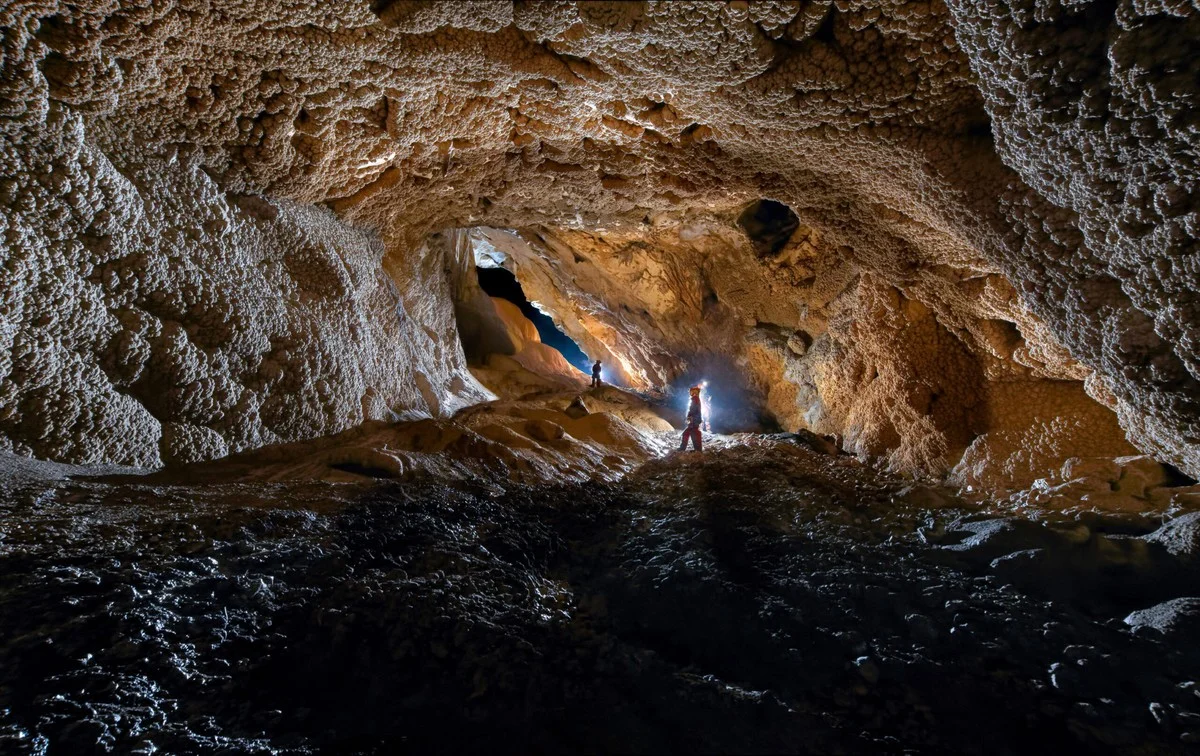 Vědci objevili v jeskyni největší pavučinový systém na světě s 111 tisíci predátory - image 2