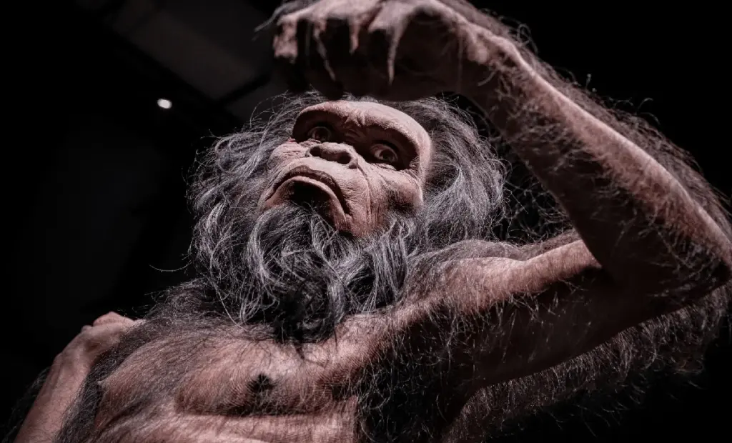 Vědci odhalili překvapivý důvod, proč lidé ztratili srst – a není to, co si myslíte