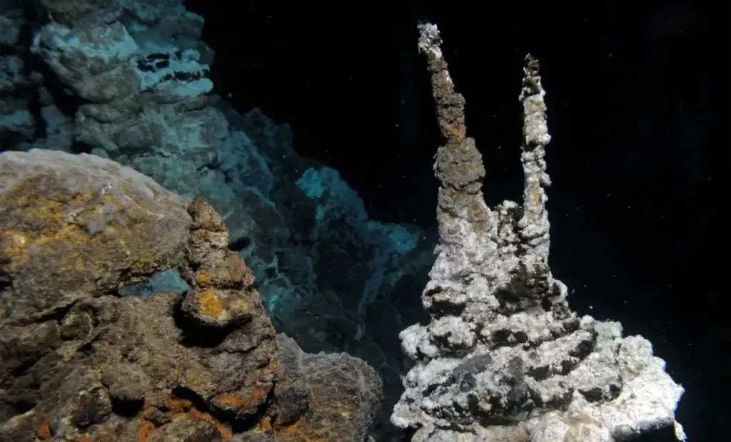 Vědci zjistili, že lidé jsou vlastně z Asgardu: Váš prapředek je mikrob, který žije v sedimentech