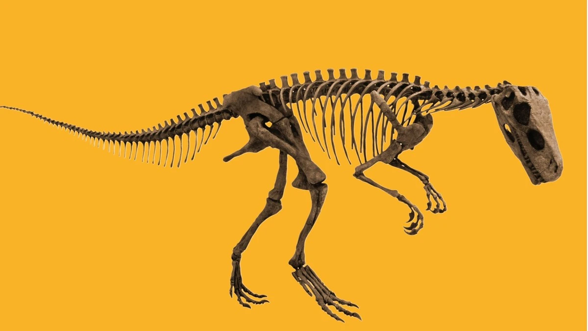 120 milionů let starý dinosaurus propojuje kontinenty: vědci objevili skrytý most - image 1