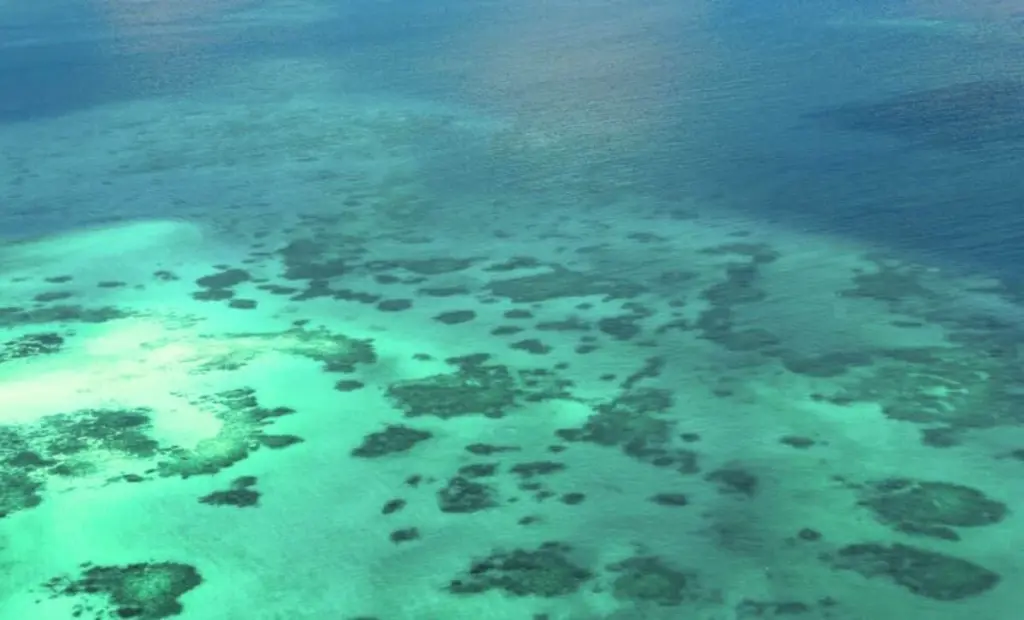 512milionů let starý objev v Číně: Podivuhodná mořská stvoření z dávného světa