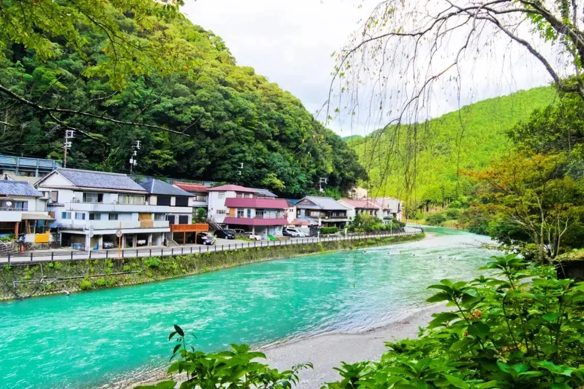 Gigantický pralesní predátor ničí japonské řeky: Co se děje? - image 2