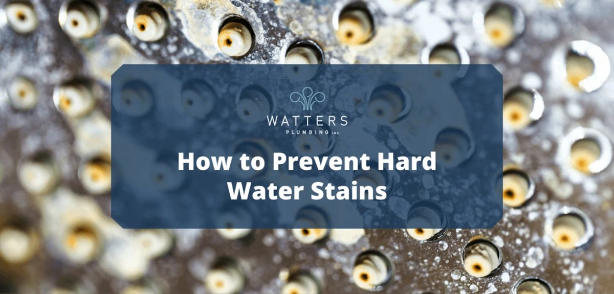 Jednoduchý trik: Jak ochránit baterie před vodním kamenem a udržet je lesklé týdny - image 2