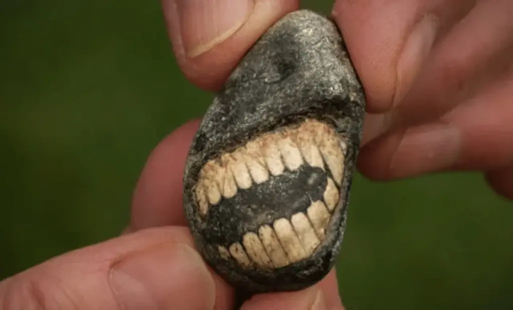 Kámen s „úsměvem“ u posvátné svatyně: 350 milionů let starý zkamenělý kousek je víc než jen kuriozita