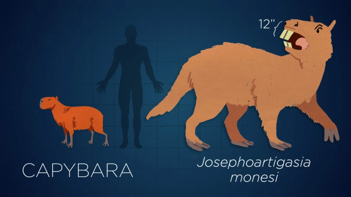 Objevené pozůstatky mastodonta a obřího lenochoda udivují v Kostarice - image 2