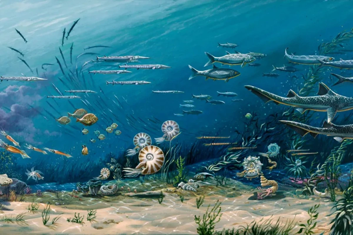 Objevili mimozemské tvory: Tyto bytosti v kolumbijských vodách jsou starší než dinosauři! - image 2