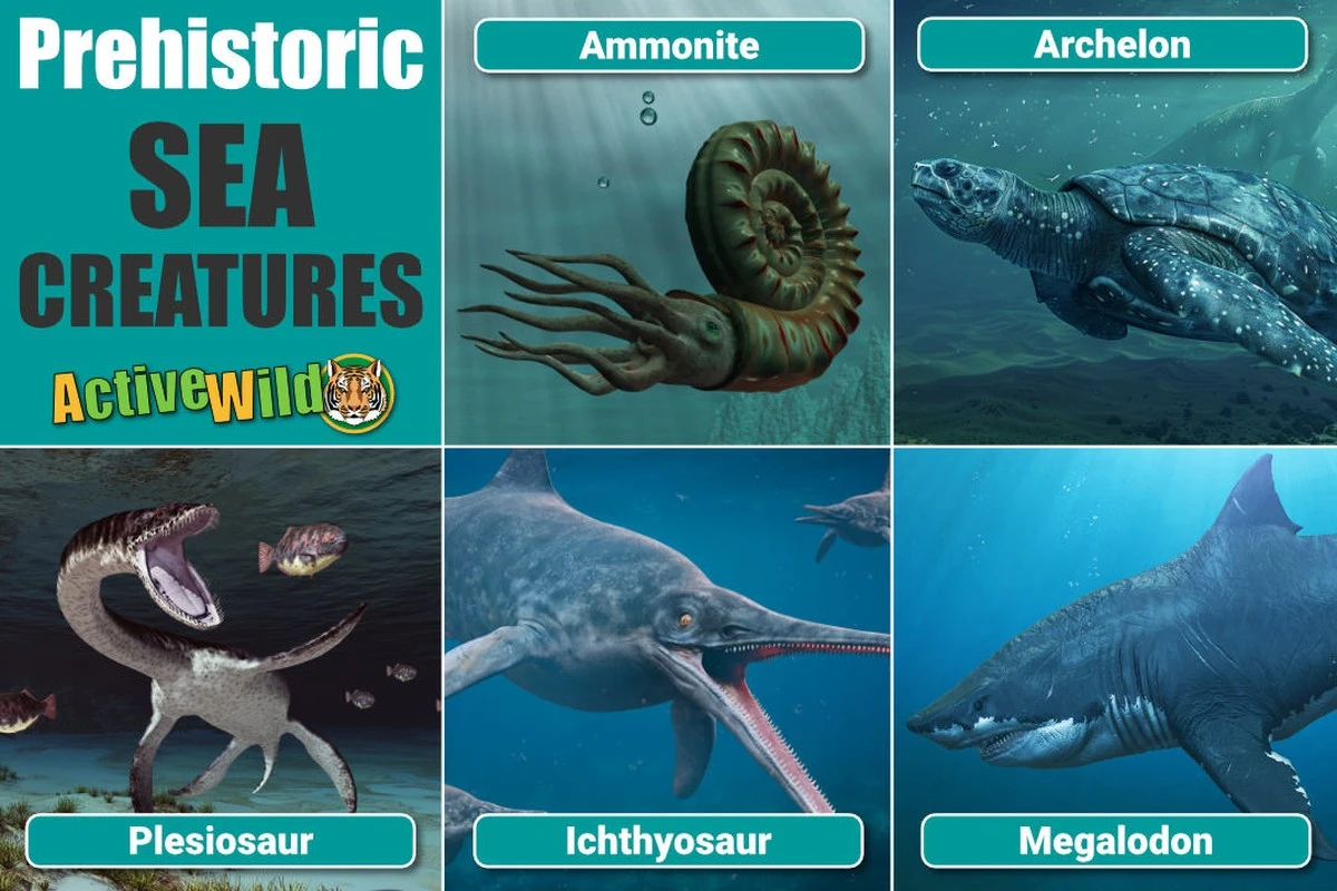 Objev z doby dinosaurů: 150 milionů let starý žralok boří evoluční teorie - image 2