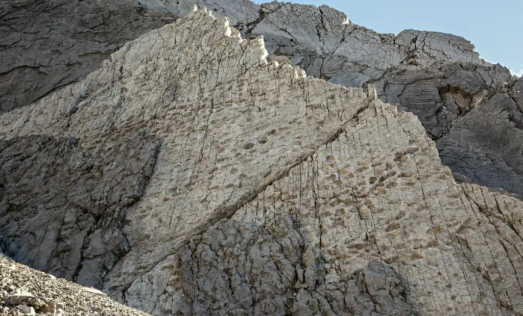 Obří Dinosauří Stopy V Alpách: Fotograf Objevil Jeden Z Největších Parků Vůbec