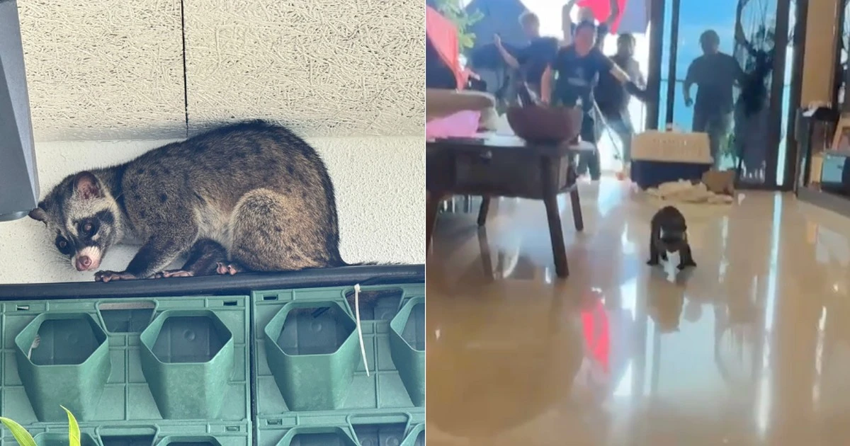 Proč se ptáci na zamrzlých vodách nehýbou? A proč k nim raději nechodit blíž - image 2