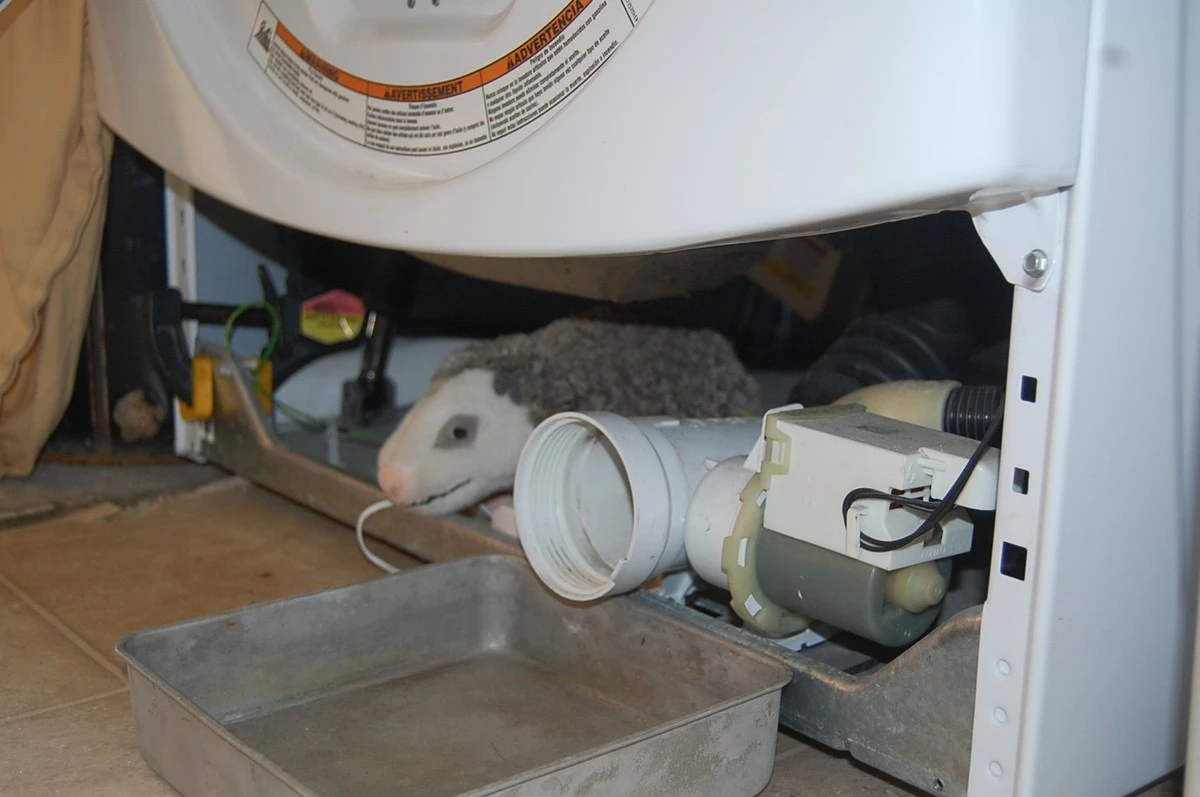 Proč váš pračce pomůže jedlá soda (a vyřeší to za jeden cyklus) - image 2