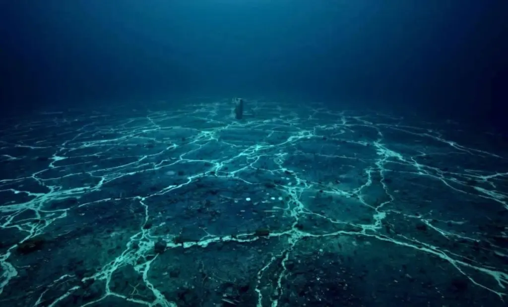 Šest kilometrů pod mořem: Japonsko objevilo naleziště vzácných zemin, které by mohlo pohánět svět 700 let