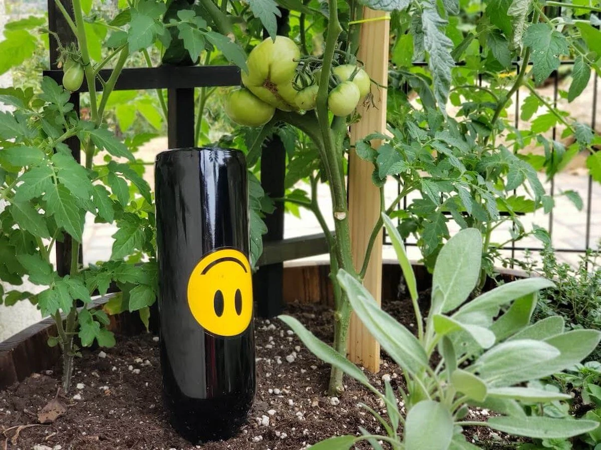 Set under 30 sekund: proč zahradníci nedají na tuto radu - image 1