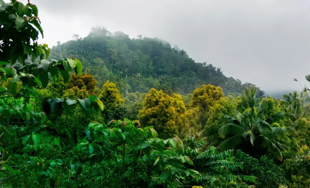 Spicy gekon s velkýma očima objímající íránskou skálu je úplně nový druh