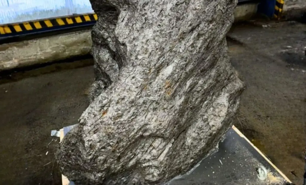 Vědci žasnou: 4,5 miliardy let starý kus vesmíru zadržen v Rusku jako „socha“