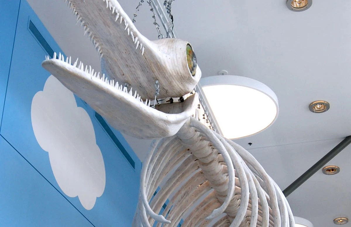 Dívka objevila pozůstatky největšího mořského plaza vůbec - image 2