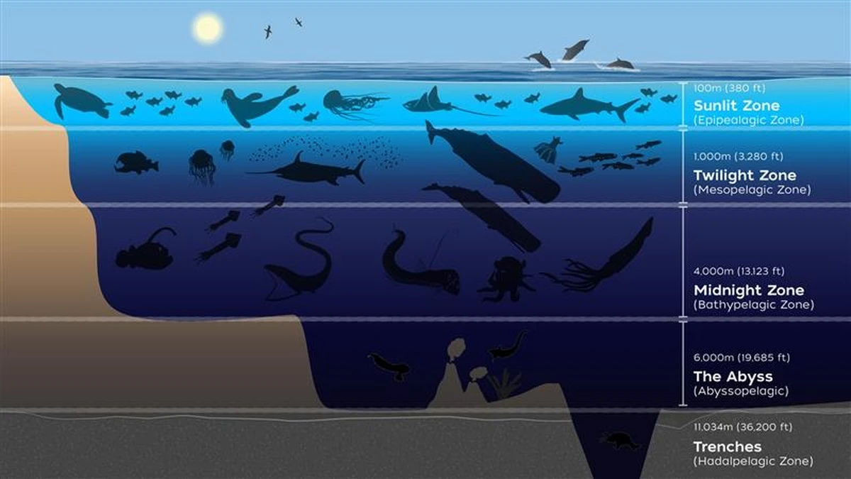 Největší vodopád planety se skrývá pod hladinou: je větší než cokoli na souši! - image 2