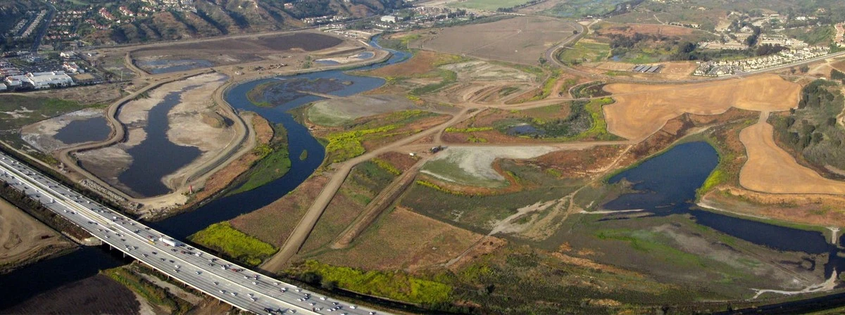Po 150 letech se do poškozené laguny vrátil tvor starý 445 milionů let - image 2