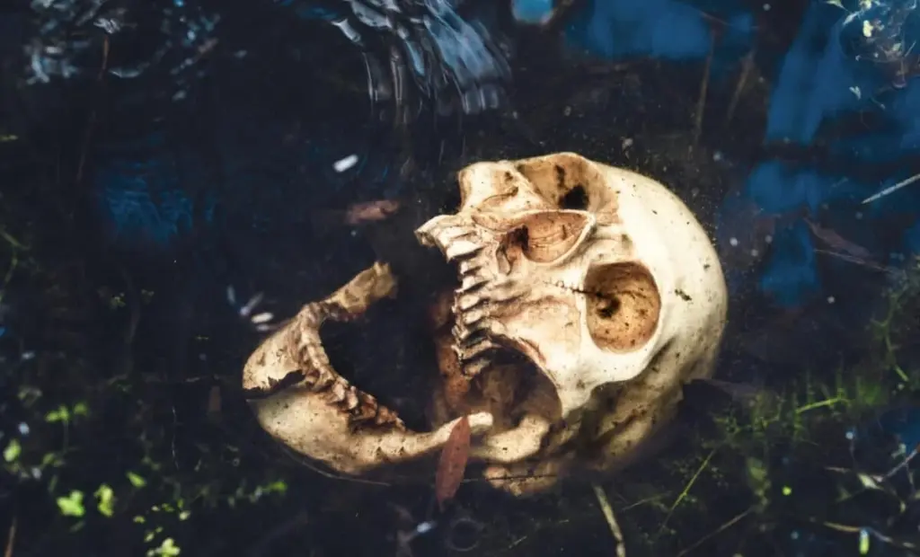 První lidé v Kolumbii: Záhada tisíciletí, která zmizela z DNA