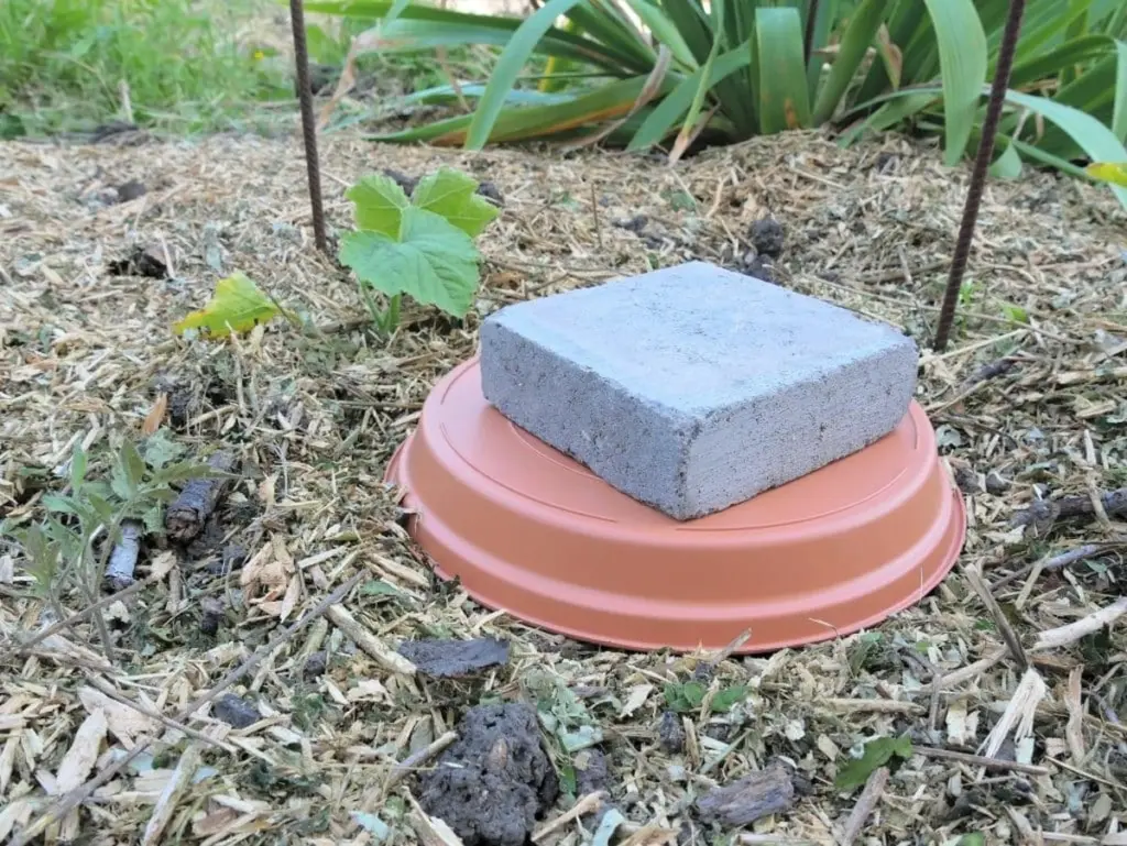 Zapomeňte na suché rostliny: Vlastní zavlažovací systém z hliněných květináčů za pár korun