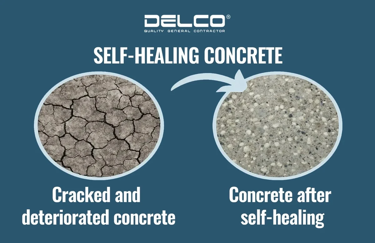 Živé stěny rostou, dýchají a léčí samy sebe: Betonu zvoní hrana - image 2