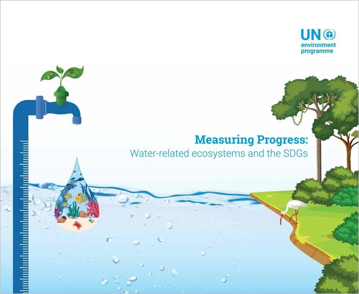 Jak v San Luis zachraňují jezera a ryby přehrazováním řek - image 2