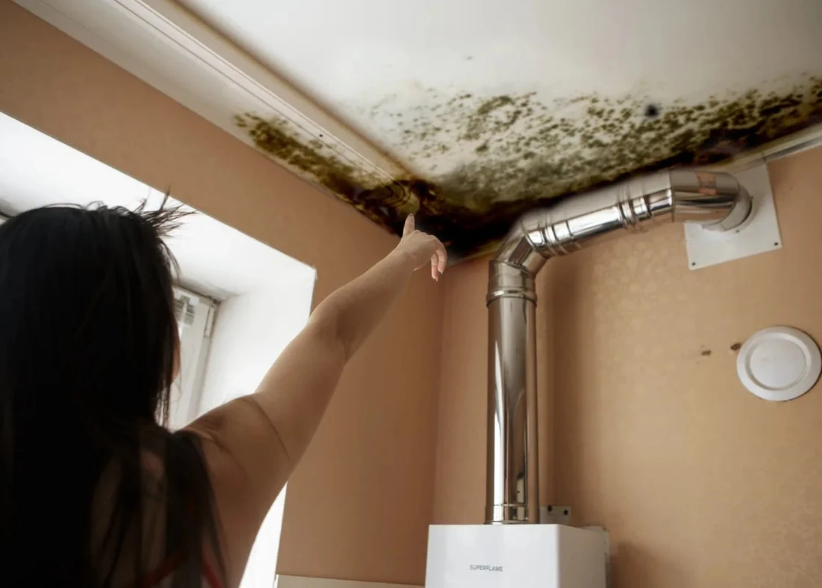 Jediný sprej na můj plesnivý strop: za 15 minut byla barva jako nová a fleky zmizely! - image 2