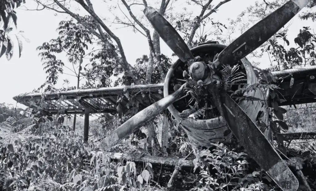 Legenda z džungle: legendární stíhačka z druhé světové války nalezena po 80 letech, stále jako nová