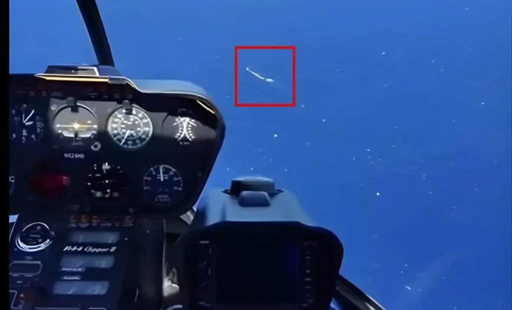 Pilot si myslel, že vidí velrybu, ale objev byl mnohem větší