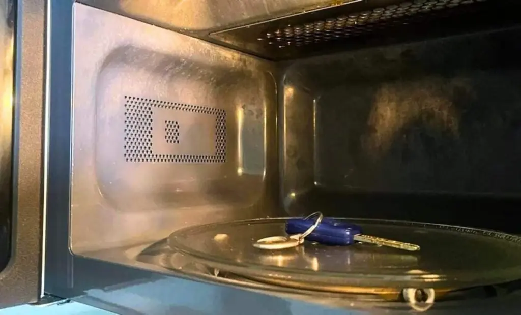 Proč řidiči skladují klíče od auta v mikrovlnce: Cena nula za ochranu